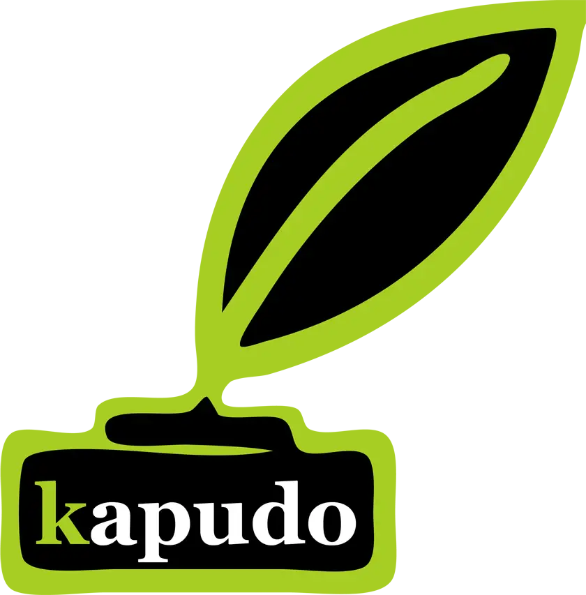 Logo "kapudoIT" Tintenfass in grün, schwarz, weiss, mit www im Fass selbst geschrieben